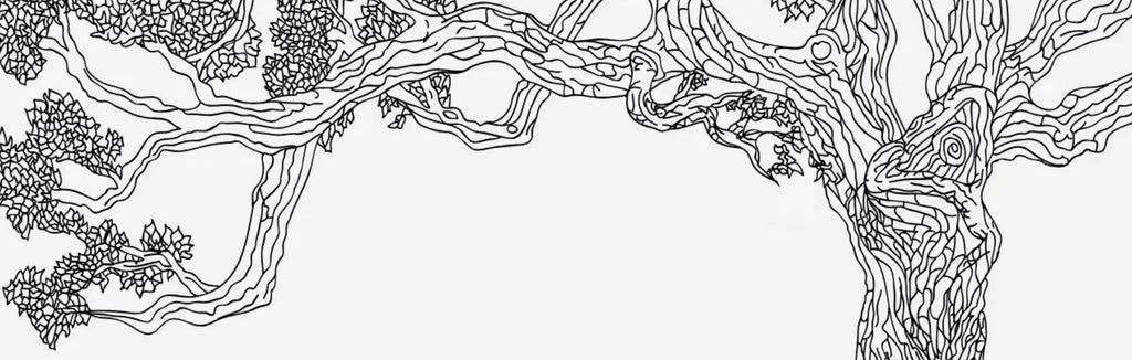Black and white line drawing of a detailed oak tree